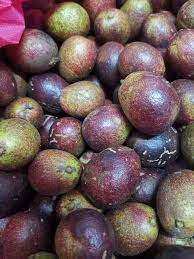 We did not find results for: æœ¬åœ°ç§æ¤æ°´æ™¶æžœåˆç§° å·´è¥¿é¾™çœ¼ Longan Sweety Fruit Morsjaya Miri Facebook