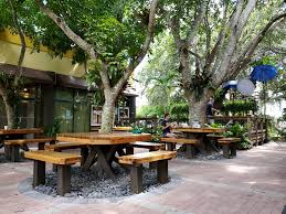 Nutrition is one of the biggest drivers of chronic diseases, including obesity and diabetes. Food And Thought Vegan Dining 228 365 Things To Do