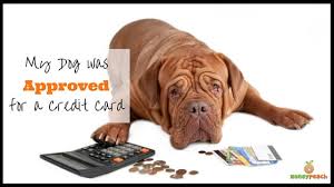 Finding a pet credit card with bad credit is difficult given the limited options that exist. My Dog Was Approved For A Credit Card Money Peach