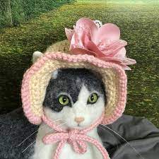 Hats For Cats Cat Hat Cat Costumes Cat Photo Prop Cat Etsy In 2021 Hats For Cats Crochet Cat Hat Pet Costumes