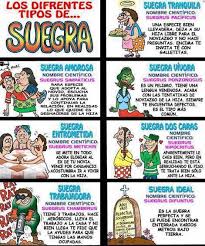 Los Diferentes Tipos De Suegra