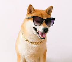 The most convenient way of buying shiba inu (shib) through binance is to purchase ethereum or bitcoin from coinbase and later to exchange / trade it. Is The Shiba Inu Coin A Good Investment In 2021 What Is The Price Prediction Of This Coin Quora