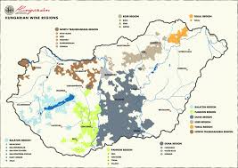 Are You Hungary For Wine Hungarian Wines Wine Wine Region