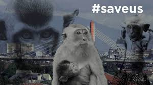 Disekeliling monyet ga ada orang sama sekali. 33 Ide Monograf Warung Kopi Warung Kopi Gajah Asia Film Biografi