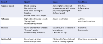 Respiratory Ch 12 Flashcards Quizlet