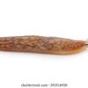 As nocturnal animals, snails are more active at night. Https Encrypted Tbn0 Gstatic Com Images Q Tbn And9gctu5byyy C Imt S37g2jb2 Fi9qxvmwr2ti C S7dj1bawoj8 Usqp Cau
