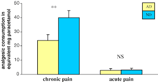 Acute Versus Chronic Pain Treatment In Alzheimer S Disease Pickering 2006 European Journal Of Pain Wiley Online Library