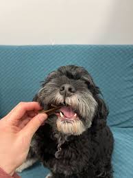 Airdrie Puppy Pals added a new photo.