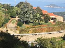 Iyengar yoga institute/marin intro yoga classes yoga classes yoga workshops teacher training/general and therapeutic established in 2012. Yoga Elba