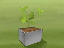 Gambarlah pola yang ingin anda buat pada botol plastik, misalnya pola gambar kelinci, kucing, beruang, atau pola lain yang anda sukai. Cara Membuat Pot Dari Beton Sendiri Dengan Gambar Wikihow