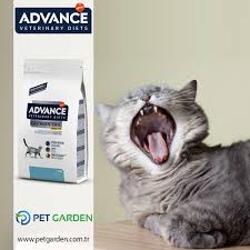 advance veterinery diets cat gastro sensitive gidalara karsi beklenmeyen etkilerin gorulme riskini azaltir ozenle secilmis proteinler icerir cati