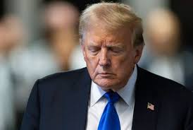 Riflessi" vince il concorso Una mimosa per Borgo Trento