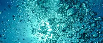 It is a gorgeous little pond, nestled between rounded mountains, with a maximum water depth of 39 feet. Do I Need To Aerate My Fish Pond In Knoxville Tennessee Willow Ridge Garden Center Landscaping