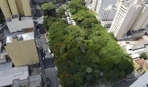 Apucarana 27° 13° cascavel 24° 13° curitiba 22° 10° foz do iguaçu 26° 13° francisco beltrão 24° 12° guaira 27° 14° guarapuava 21° 10° guaratuba 21° 15° londrina 29° 12° maringá 30° 14° matinhos 20° 15. Previsao Do Tempo Curitiba E Litoral Do Parana 22 De Marco 2019