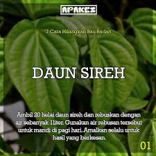7 Cara Hilangkan Bau Badan Pelbagai Noufa Beauty Selangor Facebook