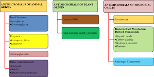 Image result for Antimicrobial Agent