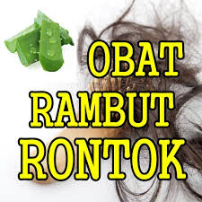 Rambut rontok adalah kondisi yang bisa disebabkan oleh sejumlah faktor. Tanaman Obat Alami Untuk Mengatasi Rambut Rontok Dlya Android Skachat Apk