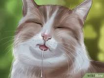 Image result