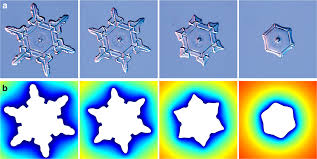 Singular Sublimation Of Ice And Snow Crystals Nature Communications