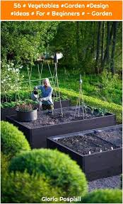 Pin By Carlyn Carey On Garden Frontyard In 2020 Garden Layout Vegetable Garden Layout Vegetable Garden Design