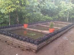 Membuat Kolam Ikan Lele Keli Yang Baik Agar Tidak Rembes