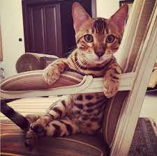 A herman ottó gimnáziumban érettségizett, majd a miskolci egyetem gazdaságtudományi karán tanult. Tita Seize The Day