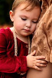 Fall flower mini photo sessions available