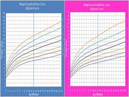 Image result for YEARS Score