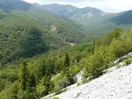 Sie hoffen auf ein menschenwürdiges leben in einem anderen land. Nachhaltige Entwicklung Am Grunen Band In Albanien Euronatur