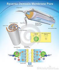 Reverse Osmosis Ro Is A Water Purification Technology That Uses A Semipermeable Membrane To Remove Ions Molecu Reverse Osmosis Under Sink Water Filter Osmosis