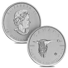 Последние твиты от r coin international (@rcoinint). Collections Lots Silver Coins Certified By Ngc Lot Of 3 Exact Coins Add To Your Portfolio R Medalex Rs