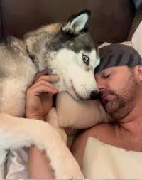 what are side hug and dad cab commercials?