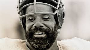 Dog finds human skull, remains in backyard