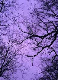 Purple background, purple sky, vaporwave, golden aesthetics hd wallpaper . Imagine A Tranquil Walk With This Purple Night Sky