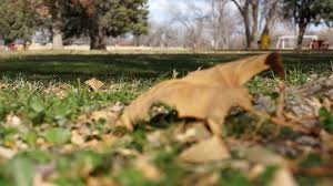 Consequently, chances are good that you will occasionally see videos you enjoy and perhaps want to download. Download Free Stock Footage No Attribution Required