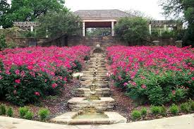 Pathway Of Roses Botanical Gardens Engagement Photo Locations Garden