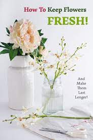 Jun 12, 2021 · cut flowers early in the morning, using a sharp knife or shears. How To Keep Flowers Fresh And Make Them Last Longer