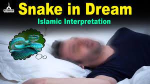 Snake In Dream Islamic Interpretation Youtube