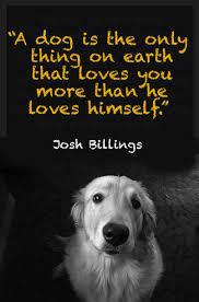 i firmly believe that a loyal dog is the only being on this planet that will be there for you 100 of the time quotes dog quotes dogs dog love