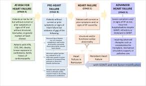Universal Definition And Classification Of Heart Failure A Report Of The Heart Failure Society Of America Heart Failure Association Of The European Society Of Cardiology Japanese Heart Failure Society And Writing Committee