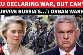 Alarming': Antisemitic, anti-Indian graffiti found inside NYU library;  probe under way