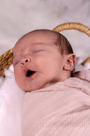 Life Through Lenses Photography