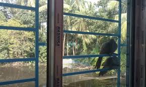 Meaning of red cardinal at window regarded as the most beautiful creature of the animal kingdom, birds, with their diversity in color and design have numerous symbolic implications. 4 Spiritual Meanings Of Bird Knocking On Window