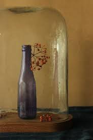beautiful still life 色 ガラスドーム 植物