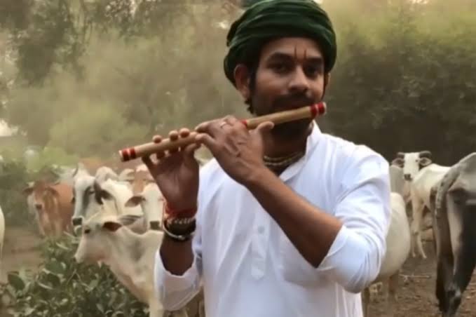 Image result for tejpratap cow"