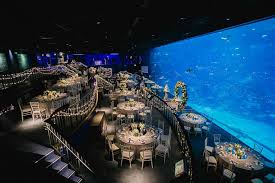 Ethan And Priscila S Ocean Gallery Wedding At Resorts World Sentosa S S E A Aquarium Aquarium Wedding Aquarium Wedding Reception Dallas Aquarium Wedding