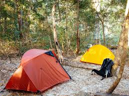 · lake boomanjin camping area number of sites: Lake Garawongera Great Walk Camp Sites K Gari Fraser Island Great Walk Parks And Forests Department Of Environment And Science Queensland