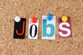 Image result for job images