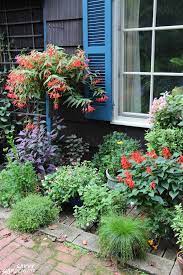 • gallery of deer resistant shade plants. Deer Resistant Annuals Colorful Choices For Sun And Shade