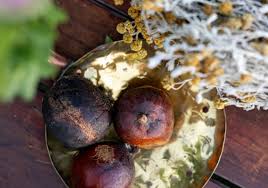 Image result for Helichrysum aureo-nitens